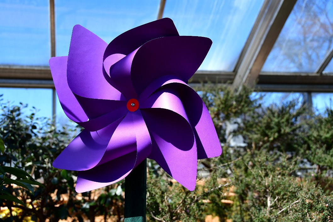 Purple Pinwheel