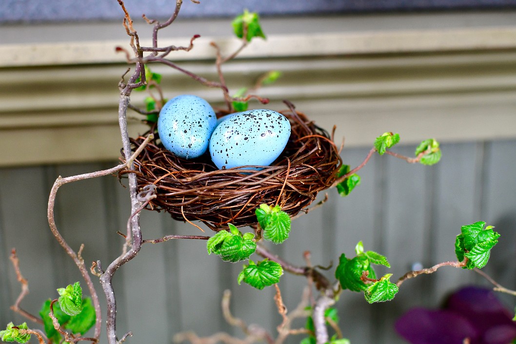 Nesting Eggs