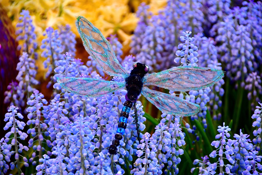 Dragonfly Above the Muscari